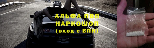мяу мяу мука Бородино