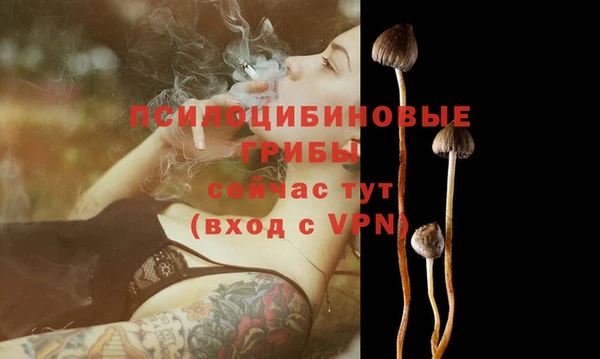 мяу мяу мука Бородино