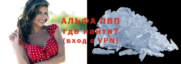спайс Болотное