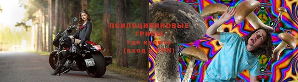 мяу мяу мука Бородино