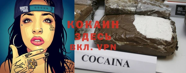 мяу мяу мука Бородино