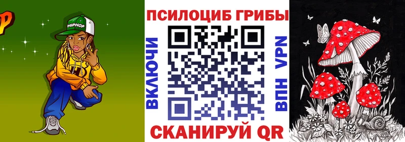 omg ТОР  Дмитровск  Галлюциногенные грибы мицелий 